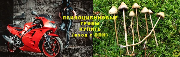 соль ск Киреевск