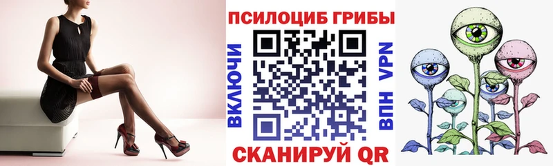 Псилоцибиновые грибы ЛСД  закладки  блэк спрут как войти  Полтавская 